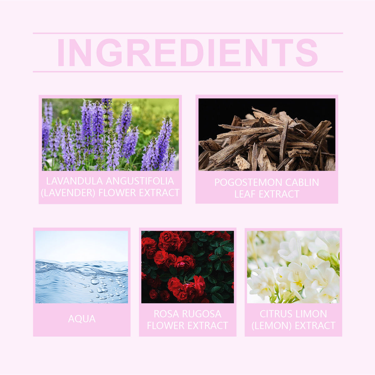 Parfum Roxelis Rose Rose Charme | Phéromone Cologne Longue Tenue | Eau de Parfum Femme
